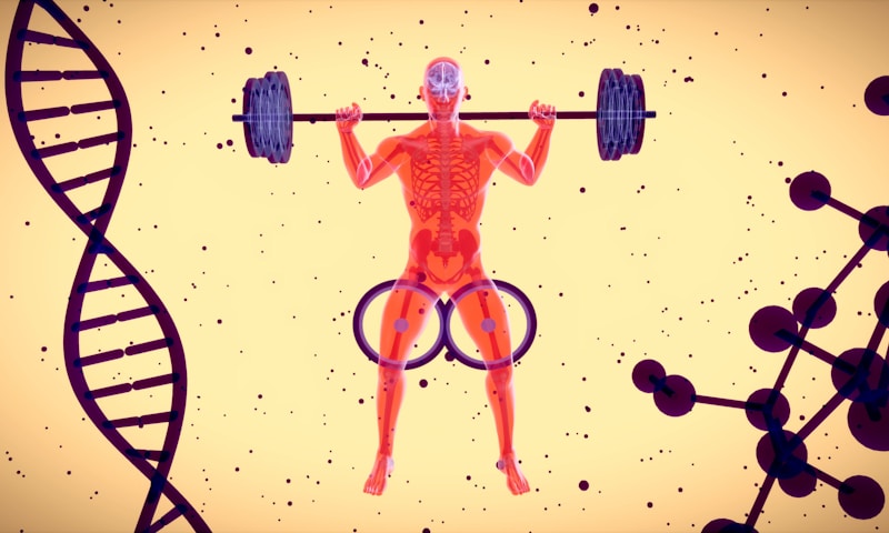 Entrenamiento de la Fuerza y sus Derivados