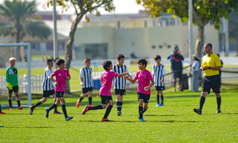 Pedagogía del Deporte Infanto-Juvenil